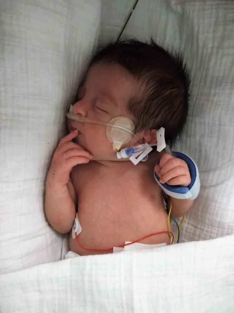 Clara contemplating.jpg